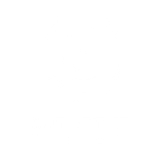 Product logo (PNG)
